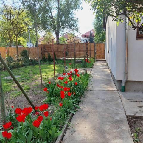 Ujszeged Apartman Экстерьер фото