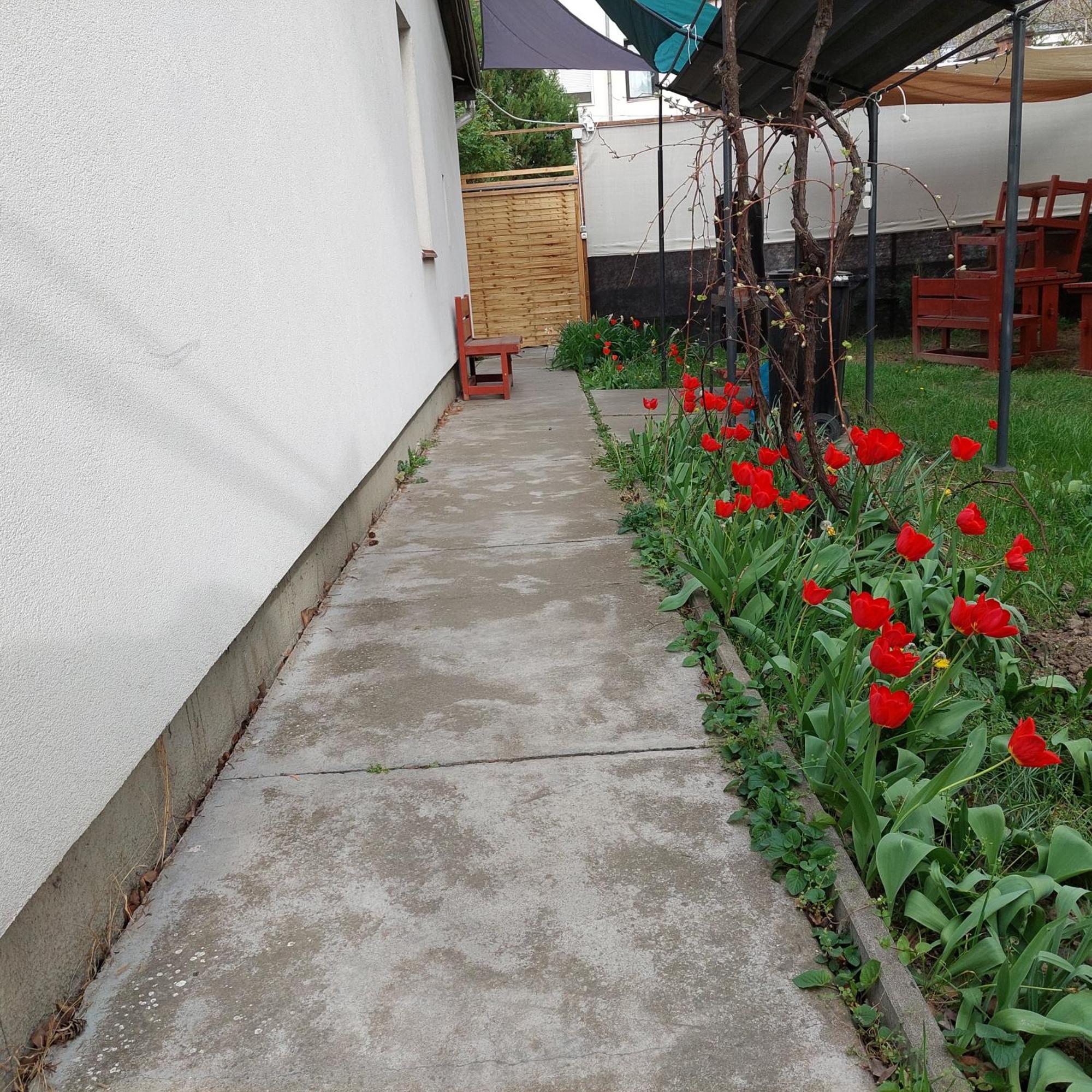Ujszeged Apartman Экстерьер фото